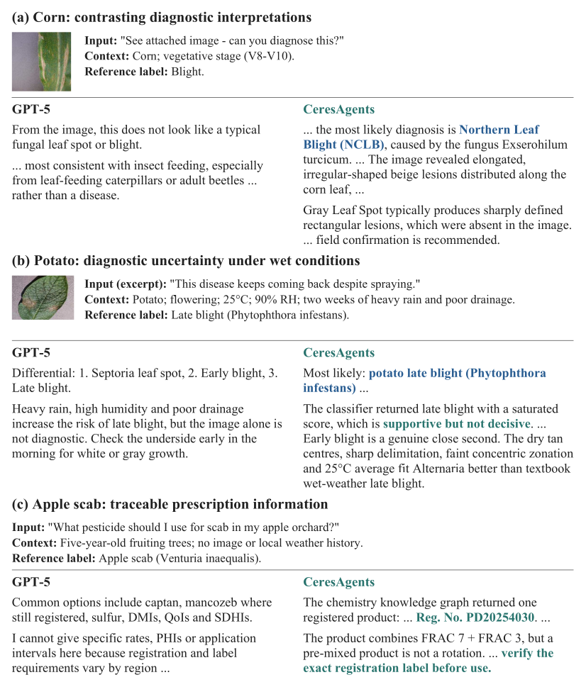 Qualitative comparison with GPT-5